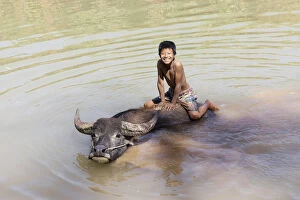 Burmese boy sits on the back of a water buffalo, Inle Lake, Shan State, Myanmar