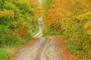 Roads Prints: Burnett's Sidroad in autumn, Sheguiandah, Manitoulin Island, Ontario, Canada