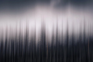 British Columbia Prints: Burnt trees, British Columbia, Canada