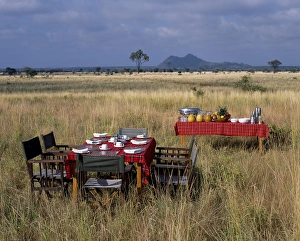 Savannah Prints: Bush breakfast from Elsas Kopje