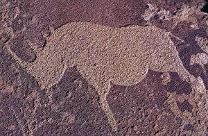Bushmen Gallery: Bushman Rhino Petroglyph near caves formations at Twyfelfontein