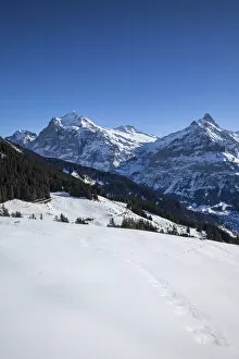 Bussalp, Grindelwald, Jungfrau Region, Berner Oberland, Switzerland