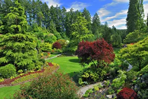 Gardening Prints: The Butchart Gardens. Brentwood Bay near Victoria, British Columbia, Canada
