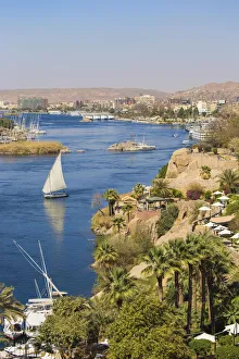 Felucca Prints: c