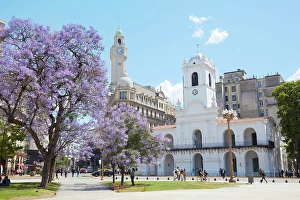 Buenos Aires Prints: The Cabildo Museum and a Jacaranda tree in springtime