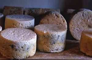 Traditional Methods Prints: Cabrales cheese is a regional speciality of Asturias