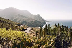 Images Dated 26th February 2020: Cactus and scenic road by the ocean in Gran Canaria, Canaries. Gc -200 drive