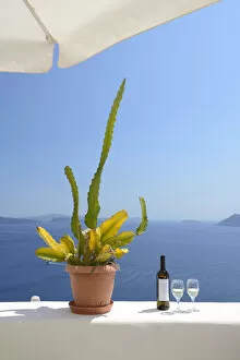 Images Dated 4th October 2013: Cactus and white wine at the sea, Oia, Santorini, Kyclades, South Aegean, Greece, Europe
