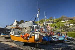 Images Dated 1st September 2021: Cadgwith Cove, Cornwall, England, UK