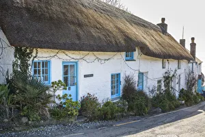 Cadgwith, Lizard Peninsula, Cornwall, England, UK