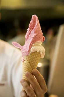 Images Dated 1st September 2008: Cadore, Icecream, Buenos Aires, Argentina