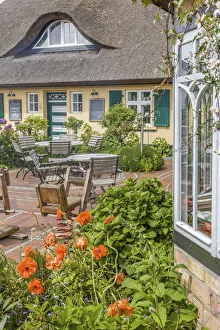 Overgrown Prints: Cafe in an old thatched roof courtyard in Zingst, Mecklenburg-Western Pomerania