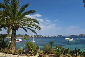 Images Dated 8th February 2012: Cala Fornells, Majorca, Balearic Islands, Spain