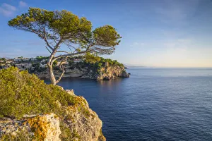 Cala Portals Vells, Serra de Tramuntana, Mallorca (Majorca), Balearic Islands, Spain