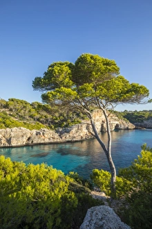 Images Dated 28th September 2017: Calas Almunia, Mallorca (Majorca), Balearic Islands, Spain