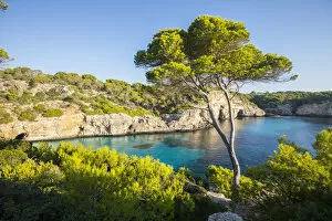 Images Dated 6th October 2017: Calas Almunia, Mallorca (Majorca), Balearic Islands, Spain