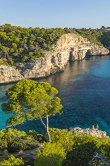 Images Dated 6th October 2017: Calas Almunia, Mallorca (Majorca), Balearic Islands, Spain