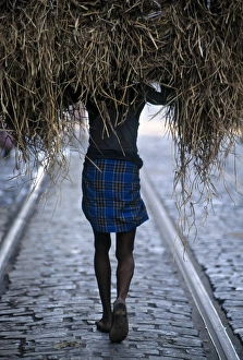 West Bengal Gallery: Calcutta, West Bengal