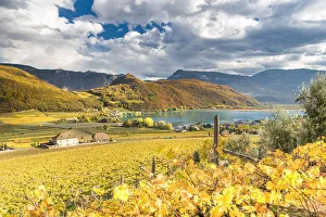 Caldaro / Kaltern, province of Bolzano, South Tyrol, Italy