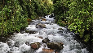 Images Dated 29th May 2012: Caldera Creek rapids in Boquete, Panama, Central America