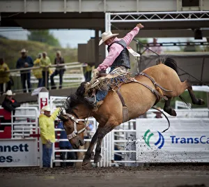 Calgary Canada, Rodeo events at the Calgary Stampede