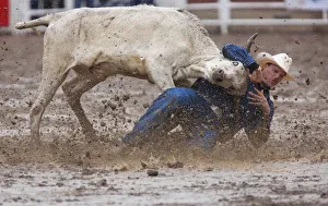 Calgary Canada, Rodeo events at the Calgary Stampede