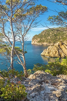 Cala Fornells Prints: Calo d`en Monjo, Cala Fornells, Mallorca, Balearic Islands, Spain