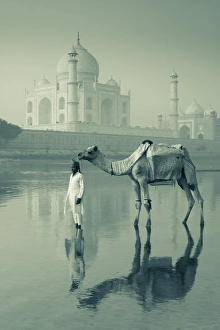 Camal & Driver, Taj Mahal, Agra, Uttar Pradesh, India