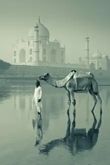 Camal & Driver, Taj Mahal, Agra, Uttar Pradesh, India