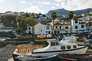 Camara de Lobos and the fishing port. Madeira