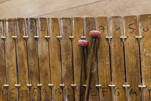 Battambang Prints: Cambodia, Battambang, Phar Ponleu Selpak, roneat, traditional Khmer xylophone, ER