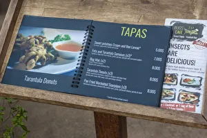 Menu Prints: Cambodia, Siem Reap, Bugs Cafe, restaurant that serves cooked insects, menu showing