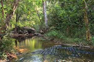 Cambodia, Temples of Angkor (UNESCO site), Kbal Spean, riverbed carving of Lingas