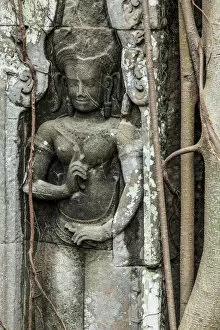 Images Dated 10th August 2015: Cambodia, Temples of Angkor (UNESCO site), Ta Prohm