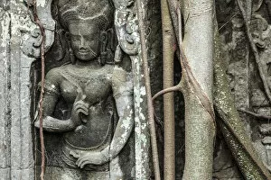 Images Dated 10th August 2015: Cambodia, Temples of Angkor (UNESCO site), Ta Prohm