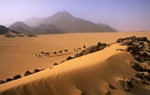 Desolate Gallery: Camel Caravan in Niger, Tenere Desert