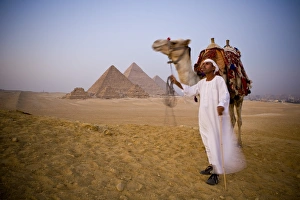 Camel & driver at the Pyramids, Giza, Cairo, Egypt