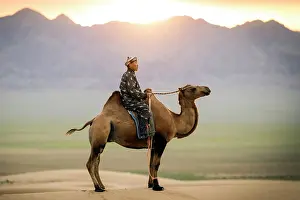 Mongolia Prints: Camel herder on his camel, Khongor Dunes, Gobi Desert, Mongolia, Asia