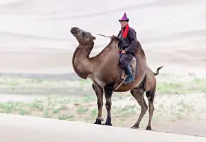 Mongolia Prints: Camel herder on his camel, Khongor Dunes, Gobi Desert, Mongolia, Asia