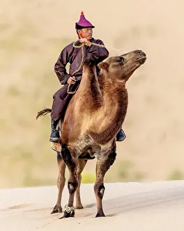 Mongolia Prints: Camel herder on his camel, Khongor Dunes, Gobi Desert, Mongolia, Asia