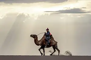 Mongolia Prints: Camel herder riding his camel, Khongor Dunes, Gobi Desert, Mongolia, Asia