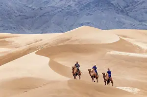 Mongolia Prints: Three camel herders riding their camels in the Khongor Dunes, Gobi Desert, Mongolia, Asia