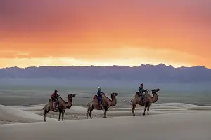 Mongolia Prints: Three camel herders riding their camels in the Khongor Dunes at sunrise