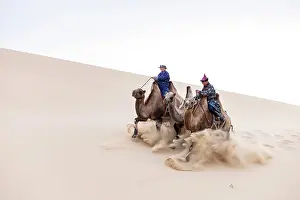 Mongolia Prints: Two camel herders riding their camels down a sand dune