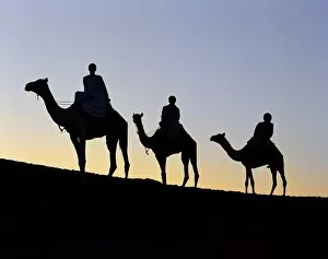 Sahara Desert Gallery: Three camel riders silhouetted against an evening sky