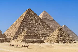Egyptian Gallery: Camel train at the Pyramids of Giza, Giza, Cairo, Egypt