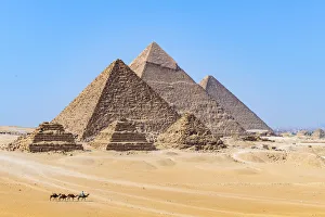 Camel train at the Pyramids of Giza, Giza, Cairo, Egypt