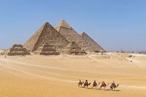 Images Dated 14th May 2020: Camels train at the Pyramids of Giza, Giza, Cairo, Egypt