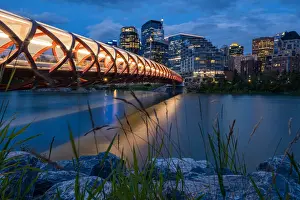 Pacific North West Prints: Canada, Alberta, Calgary: night skyline from the Peace Bridge