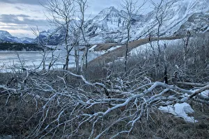 Waterton Lakes Prints: Canada, Alberta, Rocky Mountains, Waterton Lakes, National Park, Prince Of Wales Hotel